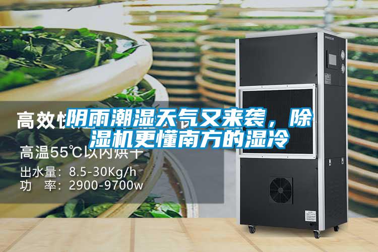 陰雨潮濕天氣又來襲，除濕機(jī)更懂南方的濕冷