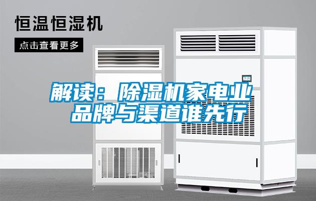 解讀:除濕機(jī)家電業(yè) 品牌與渠道誰先行