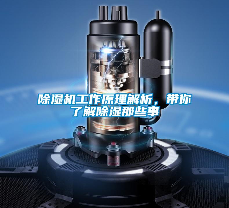 除濕機工作原理解析，帶你了解除濕那些事