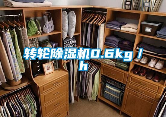 轉(zhuǎn)輪除濕機0.6kg/h