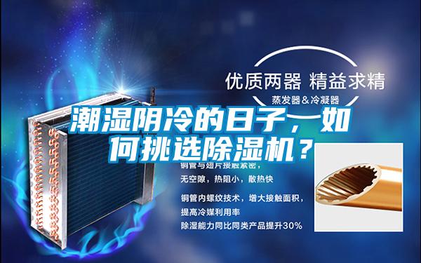 潮濕陰冷的日子，如何挑選除濕機？