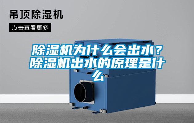 除濕機為什么會出水？除濕機出水的原理是什么