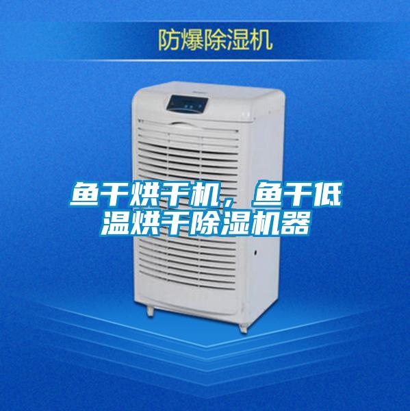 魚(yú)干烘干機(jī)，魚(yú)干低溫烘干除濕機(jī)器
