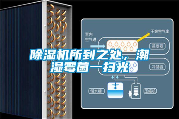 除濕機(jī)所到之處，潮濕霉菌一掃光