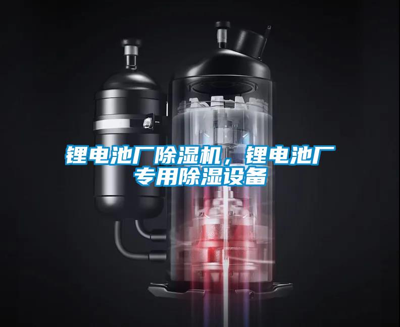 鋰電池廠除濕機(jī)，鋰電池廠專用除濕設(shè)備