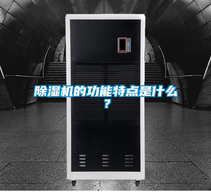 除濕機(jī)的功能特點(diǎn)是什么？