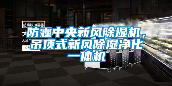 防霾中央新風除濕機，吊頂式新風除濕凈化一體機