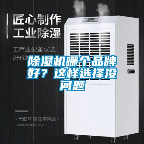 除濕機(jī)哪個(gè)品牌好？這樣選擇沒問題