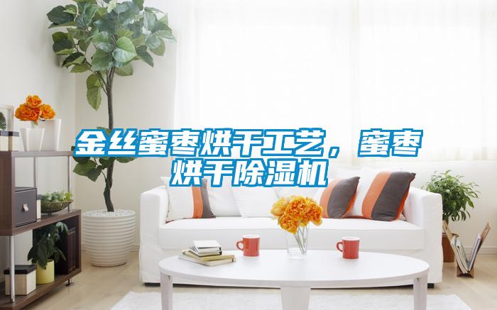 金絲蜜棗烘干工藝,蜜棗烘干除濕機(jī)