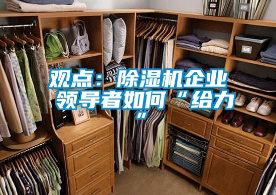 觀點(diǎn):除濕機(jī)企業(yè) 領(lǐng)導(dǎo)者如何“給力”