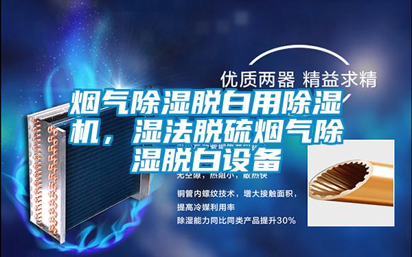 煙氣除濕脫白用除濕機(jī)，濕法脫硫煙氣除濕脫白設(shè)備