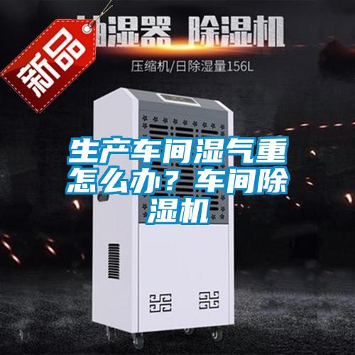 生產(chǎn)車間濕氣重怎么辦?車間除濕機