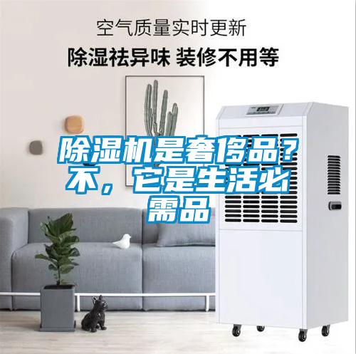 除濕機是奢侈品？不，它是生活必需品