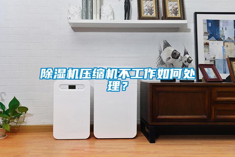 除濕機(jī)壓縮機(jī)不工作如何處理?