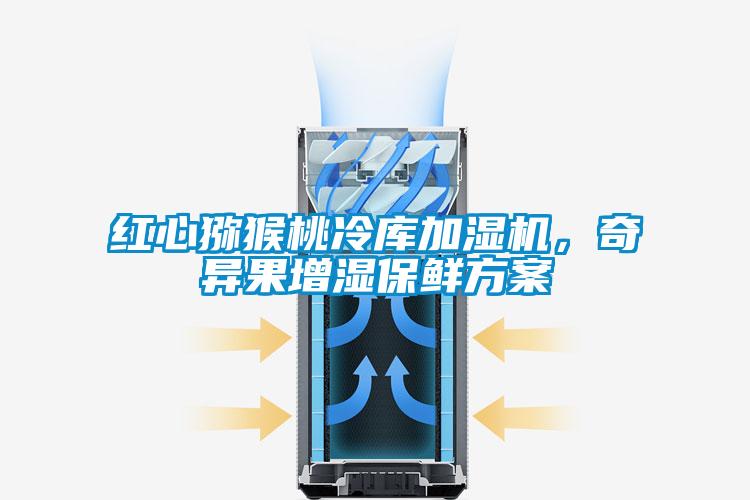 紅心獼猴桃冷庫加濕機，奇異果增濕保鮮方案