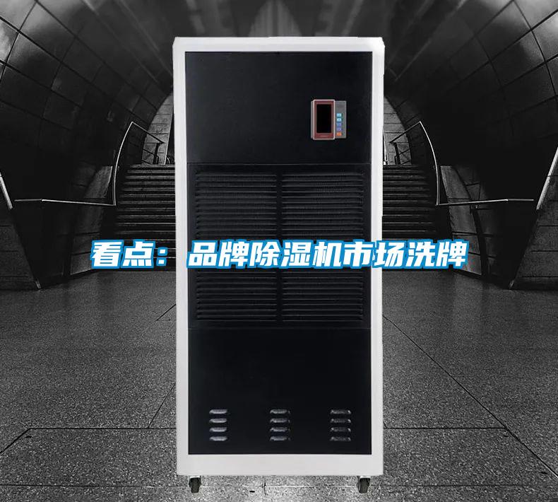 看點(diǎn):品牌除濕機(jī)市場(chǎng)洗牌