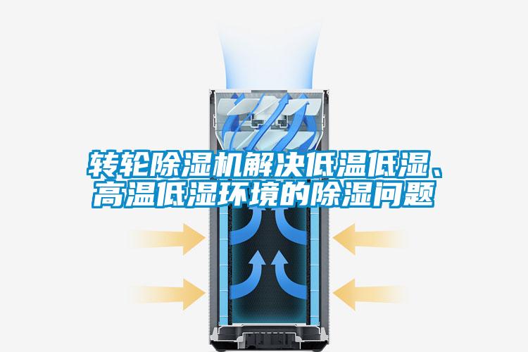轉輪除濕機解決低溫低濕、高溫低濕環(huán)境的除濕問題