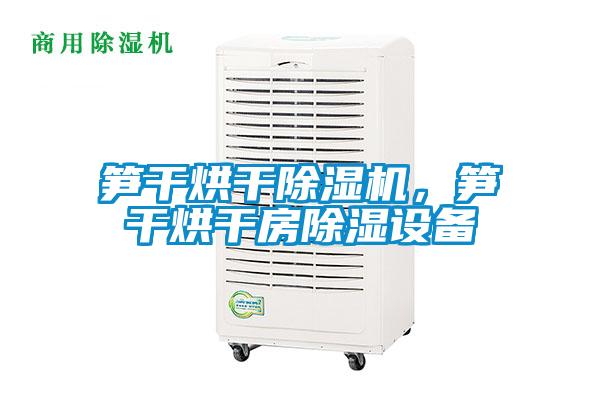 筍干烘干除濕機(jī)，筍干烘干房除濕設(shè)備