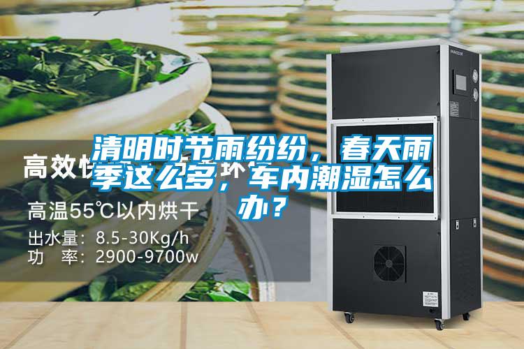 清明時(shí)節(jié)雨紛紛，春天雨季這么多，車內(nèi)潮濕怎么辦？