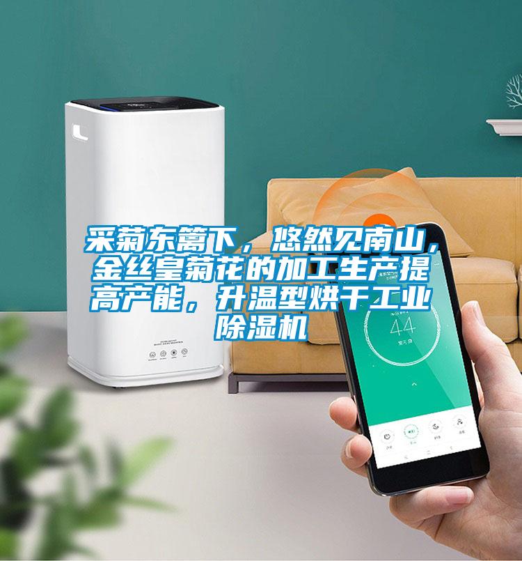 采菊東籬下，悠然見南山，金絲皇菊花的加工生產(chǎn)提高產(chǎn)能，升溫型烘干工業(yè)除濕機(jī)