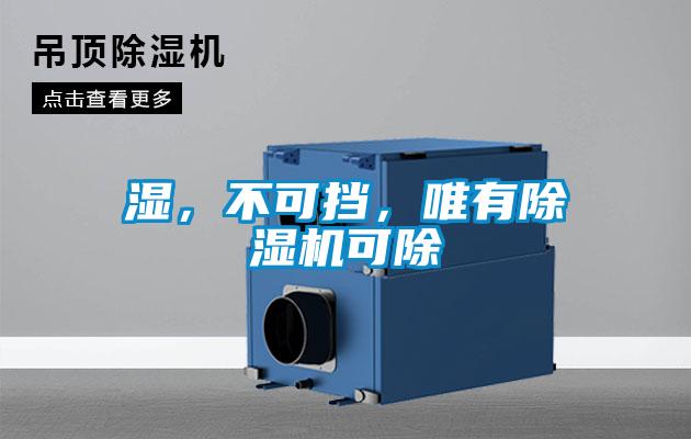 濕，不可擋，唯有除濕機(jī)可除