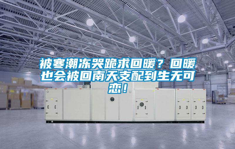 被寒潮凍哭跪求回暖？回暖也會(huì)被回南天支配到生無可戀！