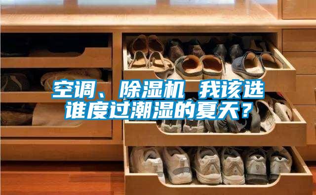 空調(diào)、除濕機(jī) 我該選誰(shuí)度過(guò)潮濕的夏天？