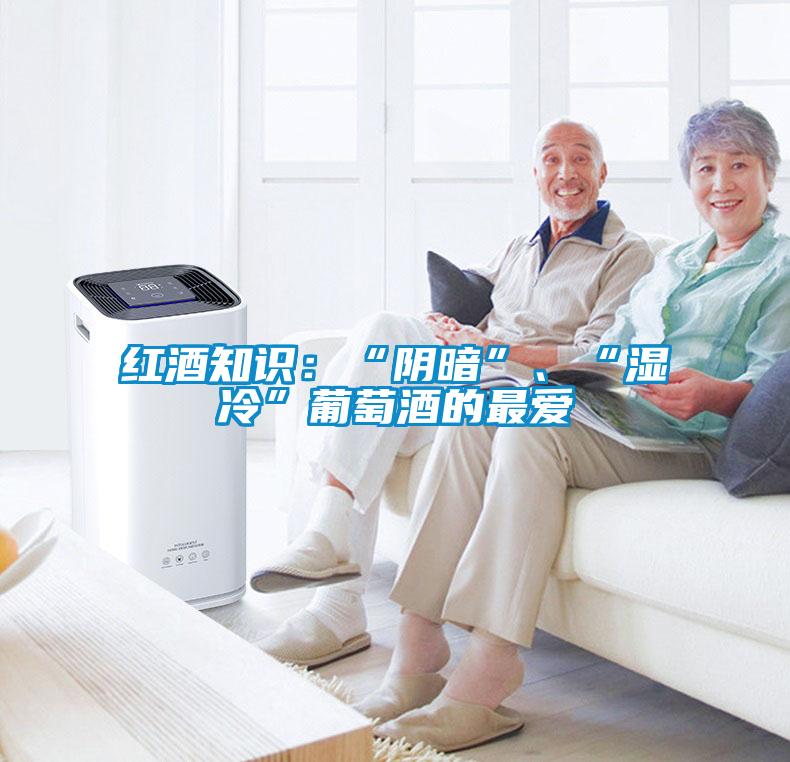 紅酒知識：“陰暗”、“濕冷”葡萄酒的最愛