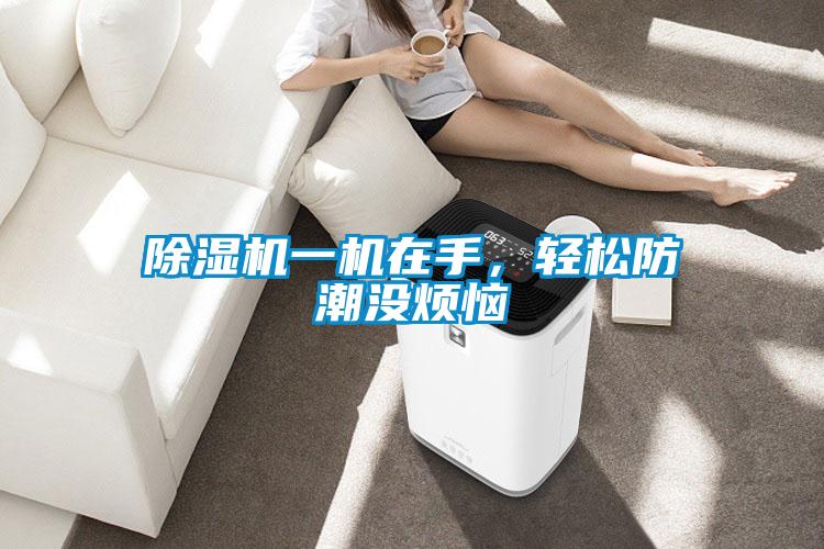 除濕機一機在手，輕松防潮沒煩惱