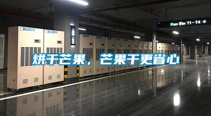 烘干芒果，芒果干更省心