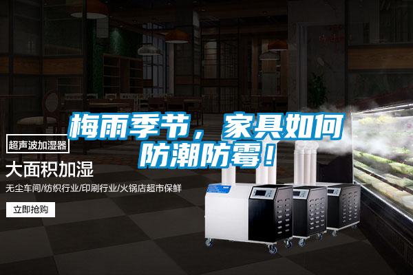 梅雨季節(jié)，家具如何防潮防霉！