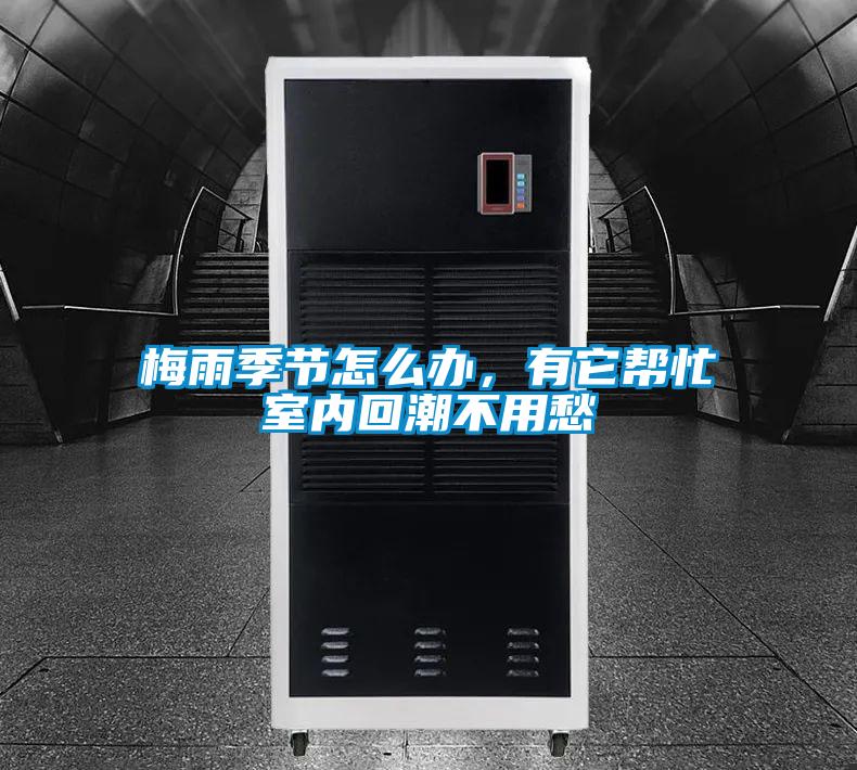 梅雨季節(jié)怎么辦，有它幫忙室內(nèi)回潮不用愁