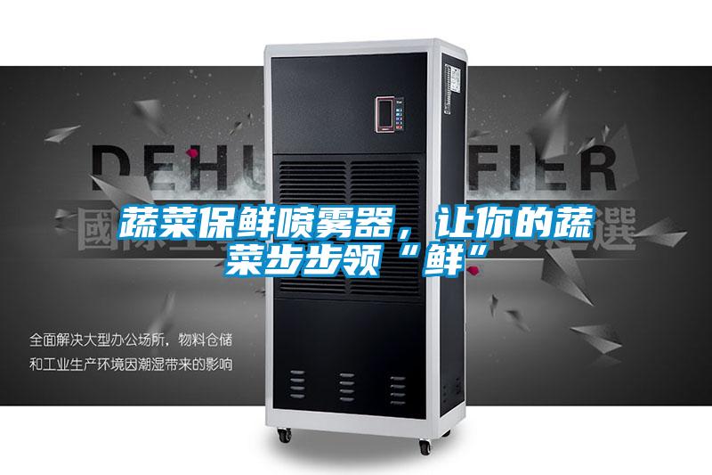 蔬菜保鮮噴霧器，讓你的蔬菜步步領“鮮”