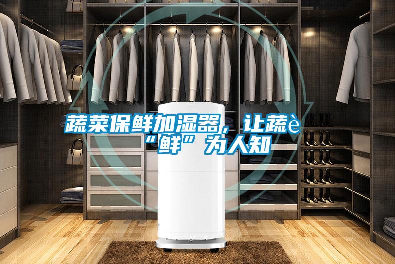 蔬菜保鮮加濕器，讓蔬菜“鮮”為人知