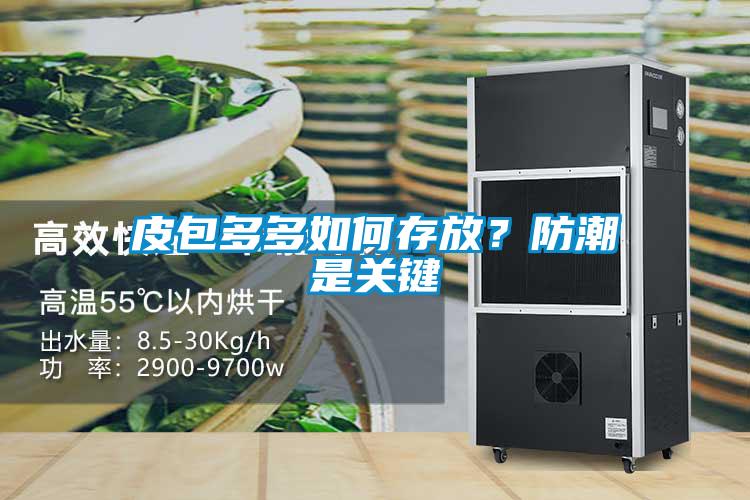 皮包多多如何存放？防潮是關(guān)鍵