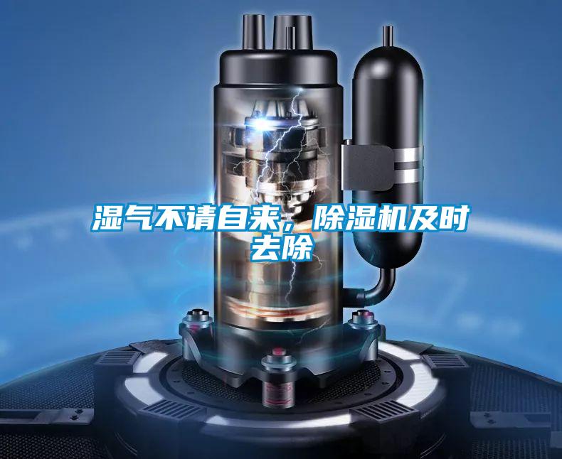 濕氣不請自來，除濕機及時去除