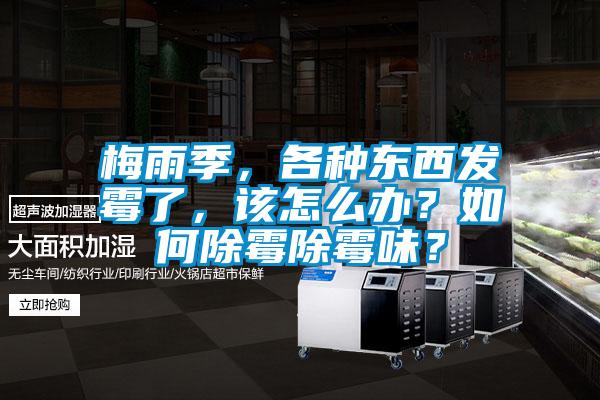 梅雨季，各種東西發(fā)霉了，該怎么辦？如何除霉除霉味？