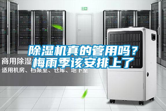 除濕機(jī)真的管用嗎？梅雨季該安排上了