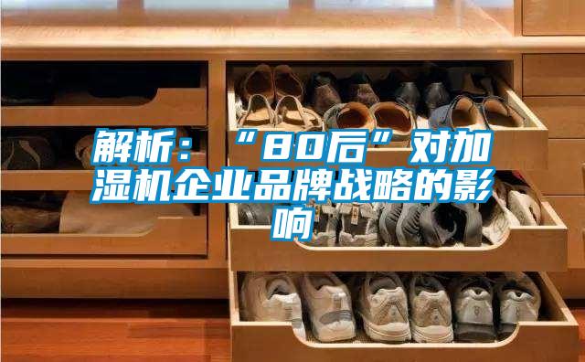 解析:“80后”對加濕機(jī)企業(yè)品牌戰(zhàn)略的影響