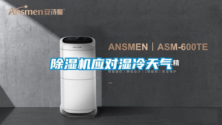除濕機(jī)應(yīng)對濕冷天氣