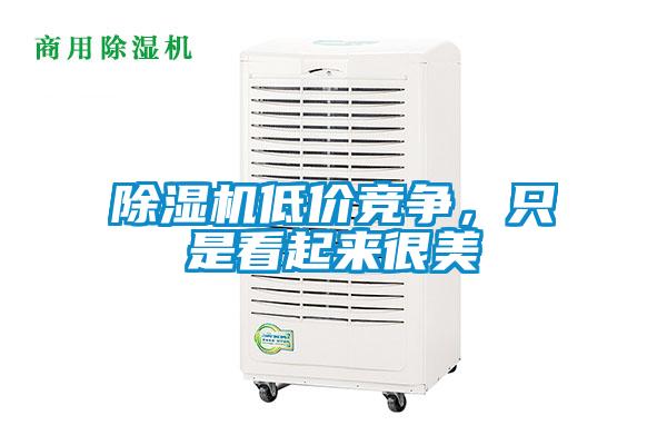 除濕機(jī)低價(jià)競(jìng)爭(zhēng)，只是看起來(lái)很美
