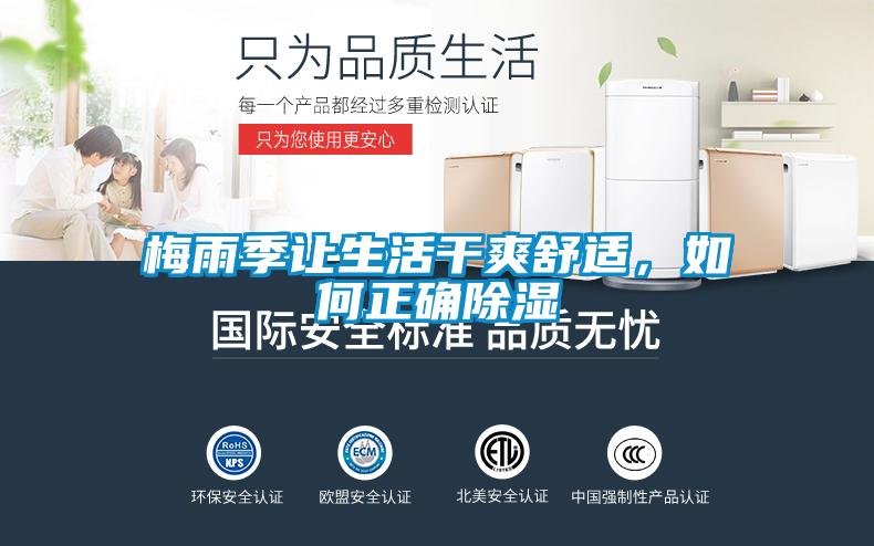梅雨季讓生活干爽舒適，如何正確除濕