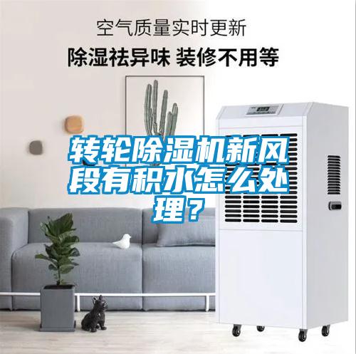 轉輪除濕機新風段有積水怎么處理？