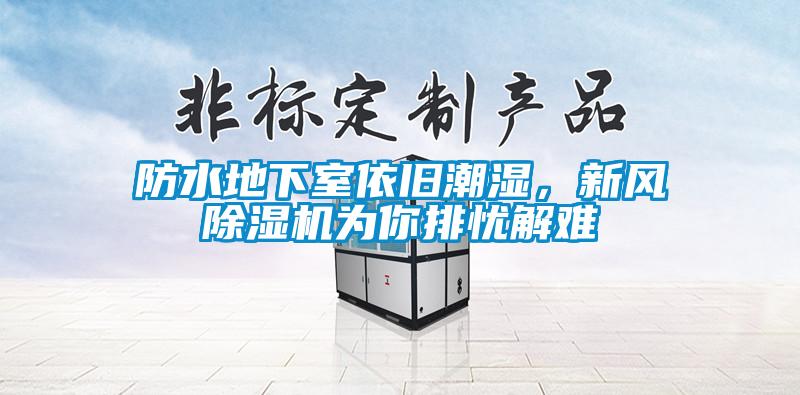 防水地下室依舊潮濕，新風(fēng)除濕機(jī)為你排憂解難