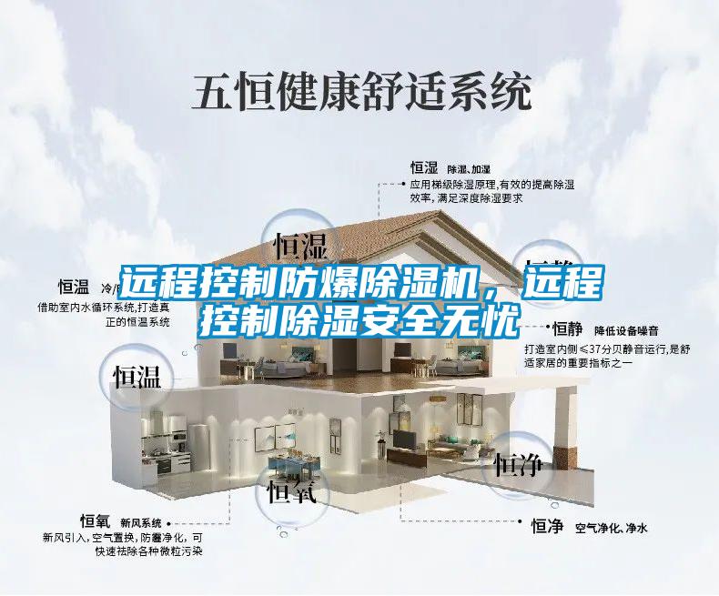遠(yuǎn)程控制防爆除濕機(jī)，遠(yuǎn)程控制除濕安全無憂