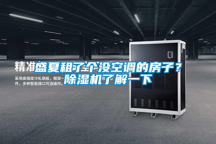 盛夏租了個沒空調的房子？除濕機了解一下