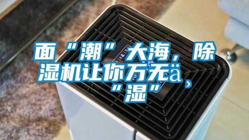面“潮”大海，除濕機(jī)讓你萬無一“濕”
