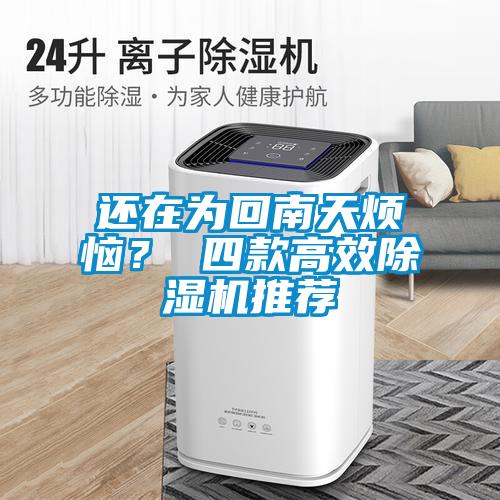 還在為回南天煩惱？ 四款高效除濕機推薦