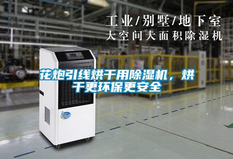 花炮引線烘干用除濕機(jī)，烘干更環(huán)保更安全