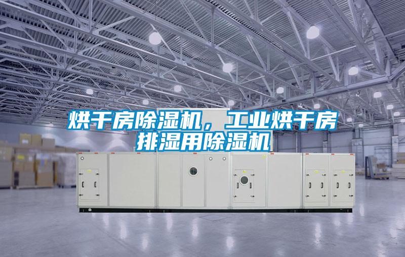 烘干房除濕機(jī)，工業(yè)烘干房排濕用除濕機(jī)